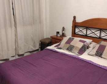 Casa Amer. 4 amb con patio, jardin y 2 cocheras
