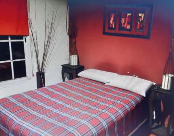 Alquila Dpto 2 ambientes con balcon y patio 