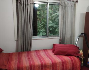 Casa Amer. 4 amb con patio, jardin y 2 cocheras