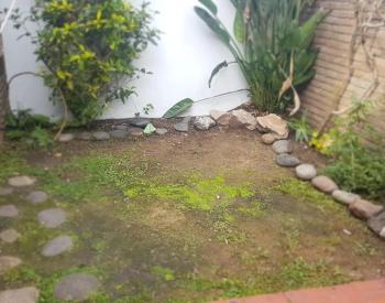 Vende Ph al fte con parque y garage Castelar Norte