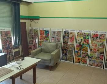 Casa Americana Para Ampliar con Dep, Exc. Zona