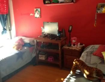 Exc. Propiedad sobre lote de 12.66 x 33